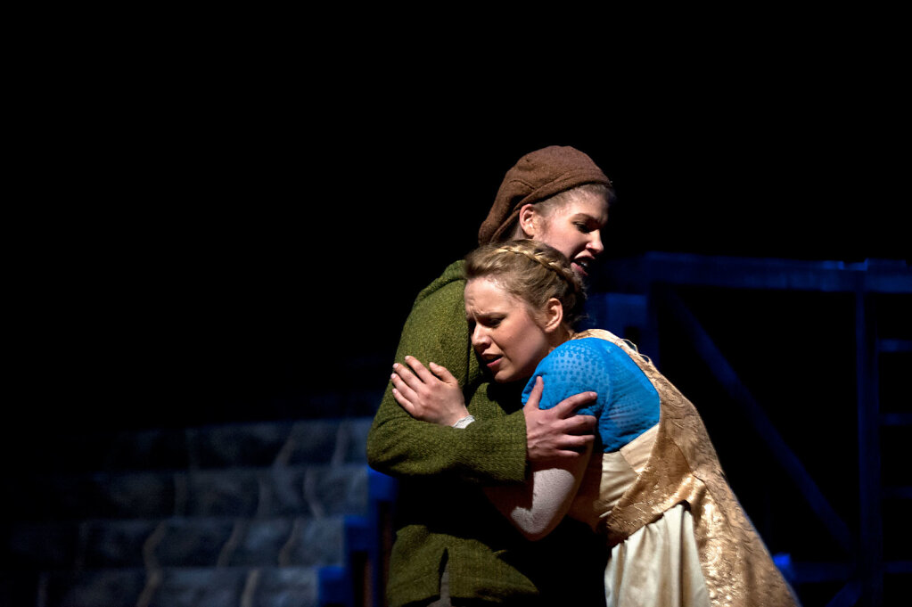 der teufel mit den drei goldnenen haaren